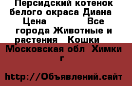 Персидский котенок белого окраса Диана › Цена ­ 40 000 - Все города Животные и растения » Кошки   . Московская обл.,Химки г.